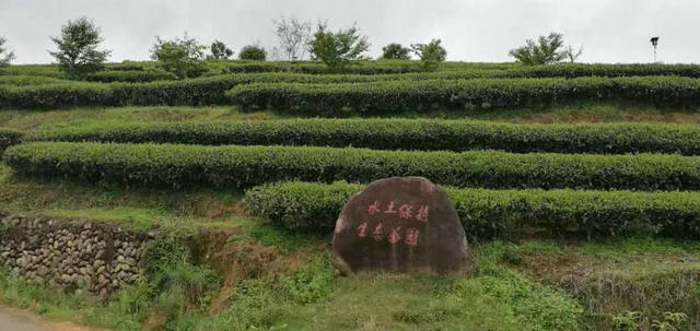 561c76e943902e6d290b9a5fcaf7a8b1.jpg 561c76e943902e6d290b9a5fcaf7a8b1.jpg