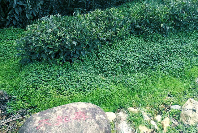 b27ce139580218e634dc790df548e91b.jpg b27ce139580218e634dc790df548e91b.jpg