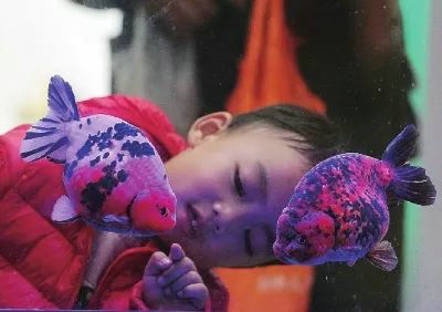 ceaff0213aa5bbfafbbe81608a583e49.jpg ceaff0213aa5bbfafbbe81608a583e49.jpg