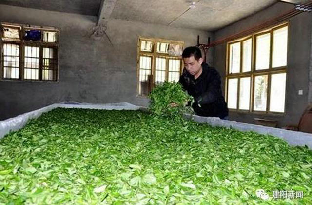 22c118677cc09dc608b9024568e78b33.jpg 22c118677cc09dc608b9024568e78b33.jpg