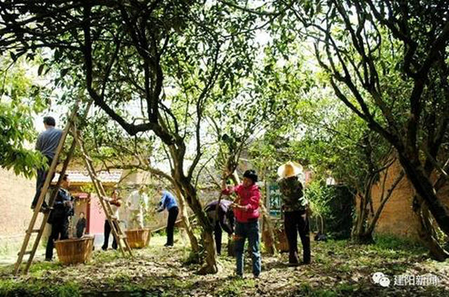 43acd43a17ff41aacf70674dee6a3495.jpg 43acd43a17ff41aacf70674dee6a3495.jpg