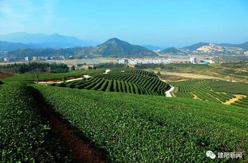 78bbbfd173fb53690c61560dfd80fe6e.jpg 78bbbfd173fb53690c61560dfd80fe6e.jpg