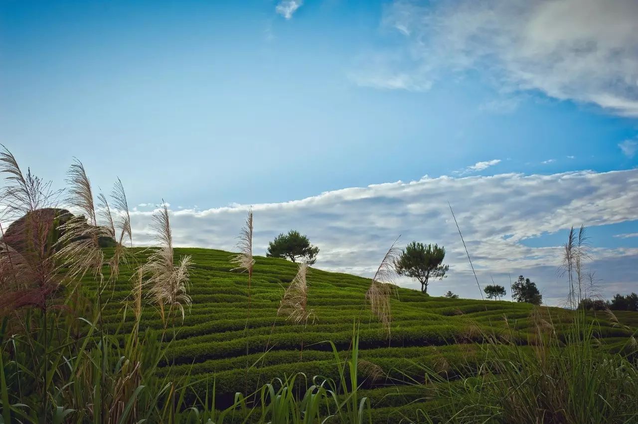 0d8341b3a377c87309911e96145ec189.jpg 0d8341b3a377c87309911e96145ec189.jpg