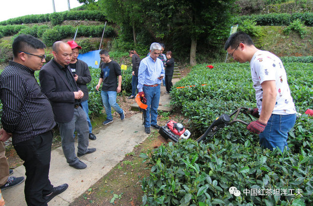 33067428d2730007b986b1a84f824525.jpg 33067428d2730007b986b1a84f824525.jpg