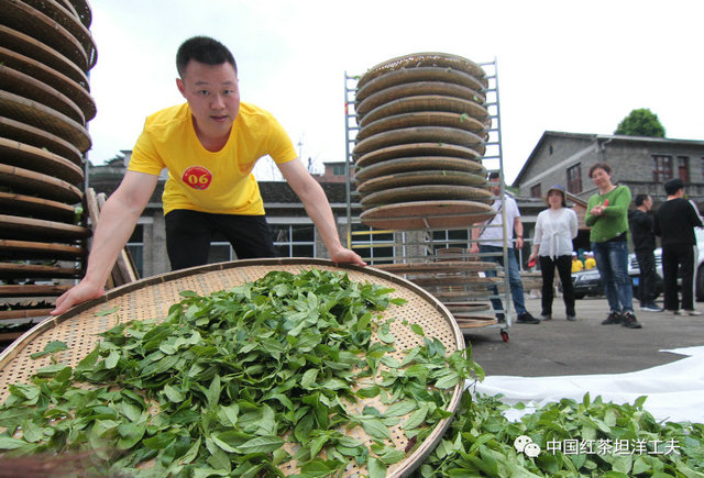 495ec73d78b330d2ff952b21482c8c3f.jpg 495ec73d78b330d2ff952b21482c8c3f.jpg