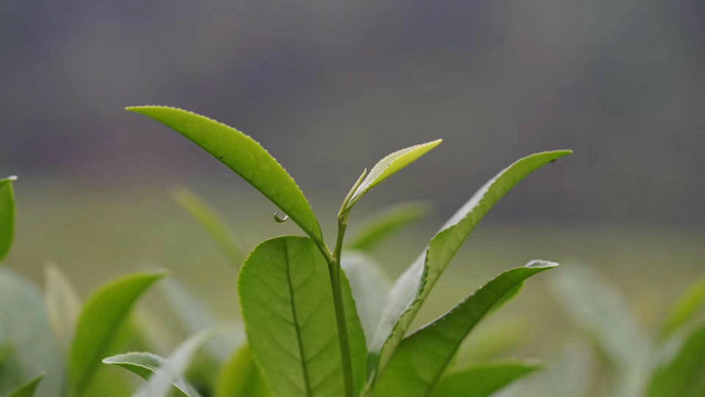 0ceda9df009afd151fe61af75b59aefc.jpg 0ceda9df009afd151fe61af75b59aefc.jpg