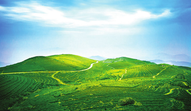 44390decf5186c1de30815a58f196f61.jpg 44390decf5186c1de30815a58f196f61.jpg