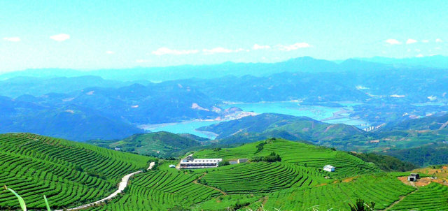 553e8df61f3ac024680439d61378b852.jpg 553e8df61f3ac024680439d61378b852.jpg