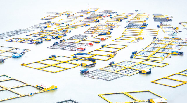 6b25d7e1d1228f02522cdf3364a301a2.jpg 6b25d7e1d1228f02522cdf3364a301a2.jpg