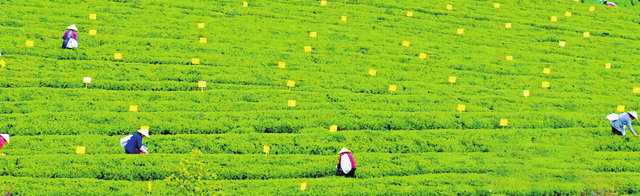 90d1d91a0344ff0998337c133f0a6bf0.jpg 90d1d91a0344ff0998337c133f0a6bf0.jpg