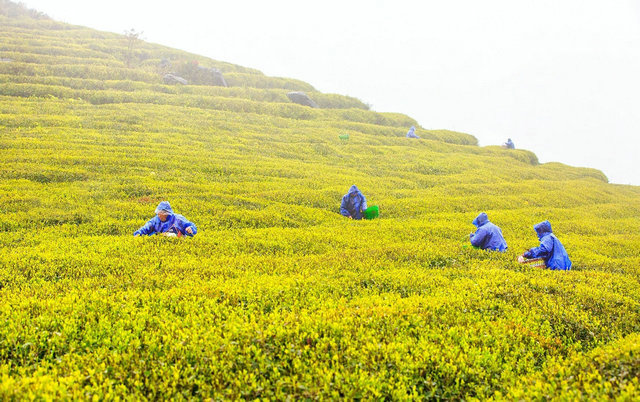 bb9f633cc0a5d2a4aec1148c66cbd5f3.jpg bb9f633cc0a5d2a4aec1148c66cbd5f3.jpg