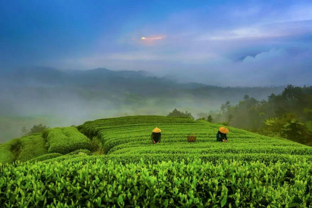 574dc06ad83d894661030a6ef6c3dcf1.jpg 574dc06ad83d894661030a6ef6c3dcf1.jpg