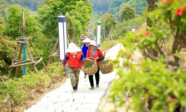 c25ec55b7fa0bd8ee196b940071836f3.jpg c25ec55b7fa0bd8ee196b940071836f3.jpg