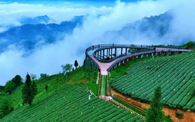 e5b9b1f00f01a79e2d5a1883c5b3a1a8.jpg e5b9b1f00f01a79e2d5a1883c5b3a1a8.jpg