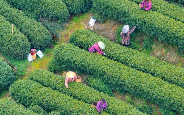 f1da378aafda0d387defaf17485968e4.jpg f1da378aafda0d387defaf17485968e4.jpg